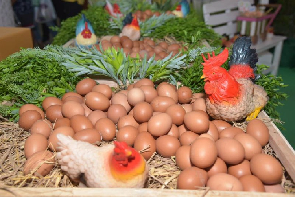 ‘วันไข่โลก’ ตั้งเป้าคนไทยบริโภคไข่ไก่ 300 ฟอง