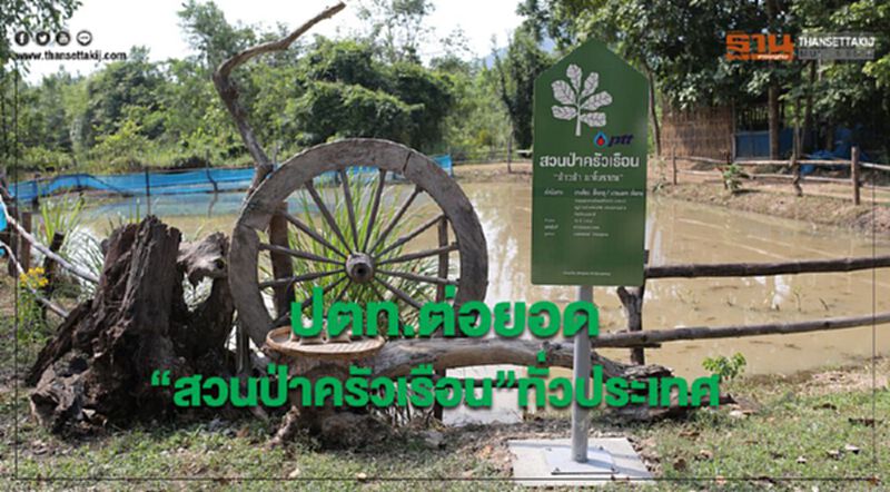 ปตท.ต่อยอด "สวนป่าครัวเรือน”ทั่วประเทศ ปตท.ต่อยอด "สวนป่าครัวเรือน”ทั่วประเทศ
