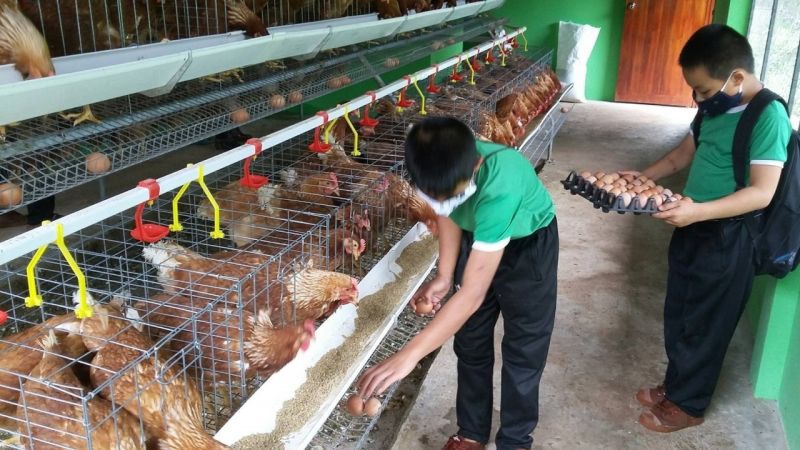 ซีพีเอฟสนับสนุนโรงเรียนต้นแบบอาหารกลางวันระดับประเทศ