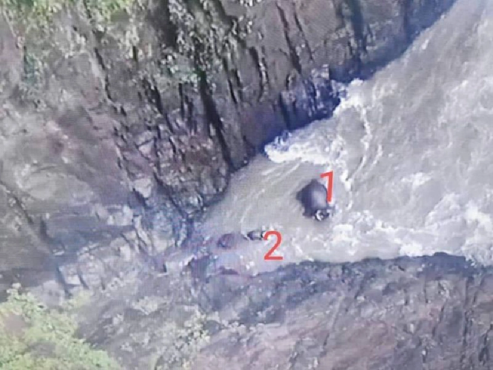 เศร้าอีก ช้างป่าตกเหวนรกตายเพิ่มเป็น 11 ตัว