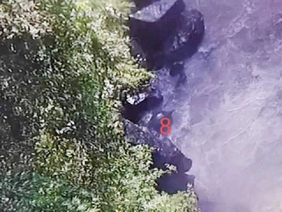 เศร้าอีก ช้างป่าตกเหวนรกตายเพิ่มเป็น 11 ตัว