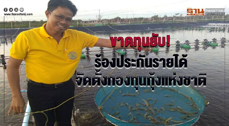 ขาดทุนยับ!ร้องประกันรายได้-จัดตั้งกองทุนกุ้งแห่งชาติ ขาดทุนยับ!ร้องประกันรายได้-จัดตั้งกองทุนกุ้งแห่งชาติ