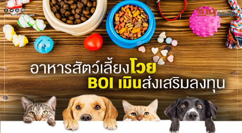 อาหารสัตว์เลี้ยงโวย BOI เมินส่งเสริมลงทุน อาหารสัตว์เลี้ยงโวย BOI เมินส่งเสริมลงทุน