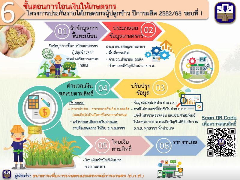 ชาวนาแห้ว! 3 ชนิดข้าวชวดประกันรายได้