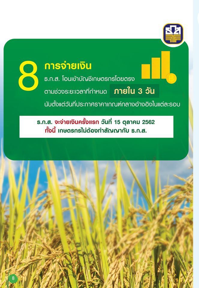 ชาวนาแห้ว! 3 ชนิดข้าวชวดประกันรายได้