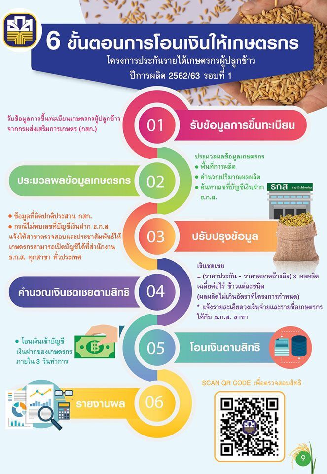 ชาวนาแห้ว! 3 ชนิดข้าวชวดประกันรายได้