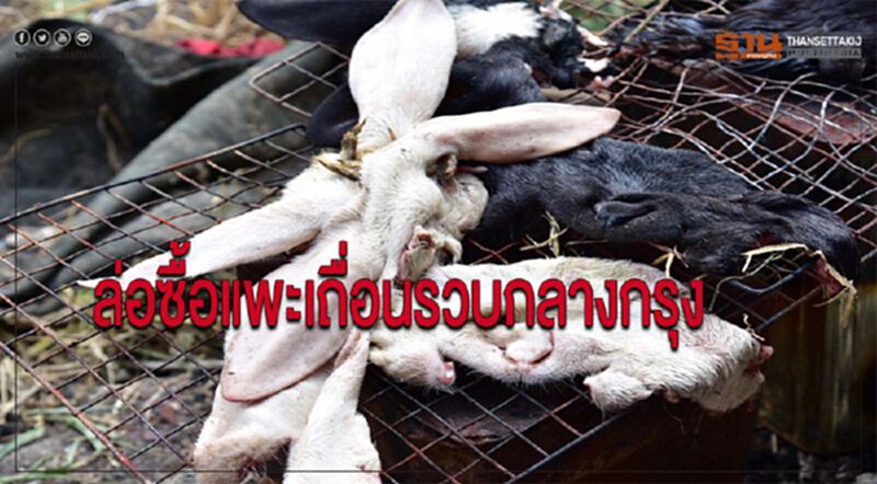 ล่อซื้อแพะเถื่อนรวบกลางกรุง ล่อซื้อแพะเถื่อนรวบกลางกรุง