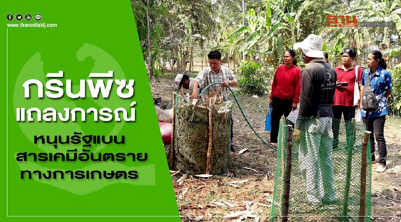 กรีนพีช แถลงการณ์ หนุนรัฐแบน สารเคมีอันตรายทางการเกษตร กรีนพีช แถลงการณ์ หนุนรัฐแบน สารเคมีอันตรายทางการเกษตร