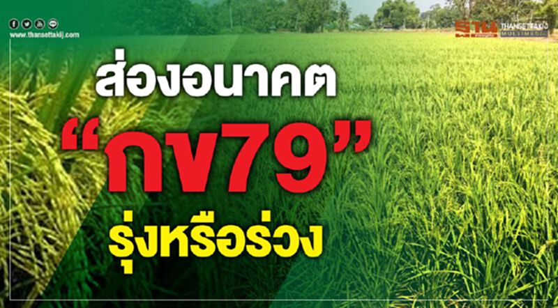 ส่องอนาคต “กข79” รุ่งหรือร่วง ส่องอนาคต “กข79” รุ่งหรือร่วง
