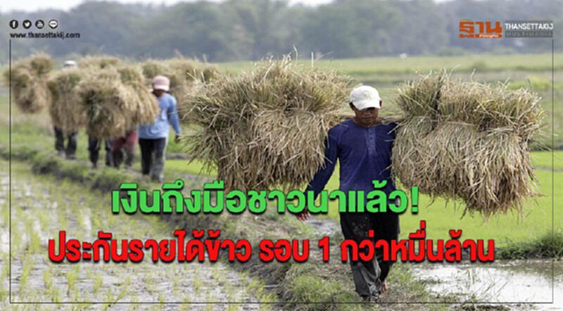 เงินถึงมือชาวนาแล้ว! ประกันรายได้ข้าว รอบ 1 กว่าหมื่นล้าน เงินถึงมือชาวนาแล้ว! ประกันรายได้ข้าว รอบ 1 กว่าหมื่นล้าน
