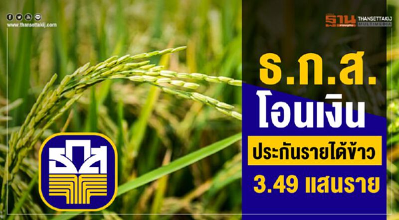 ธ.ก.ส.โอนเงินประกันรายได้ข้าว รอบแรก 3.49 แสนราย ธ.ก.ส.โอนเงินประกันรายได้ข้าว รอบแรก 3.49 แสนราย