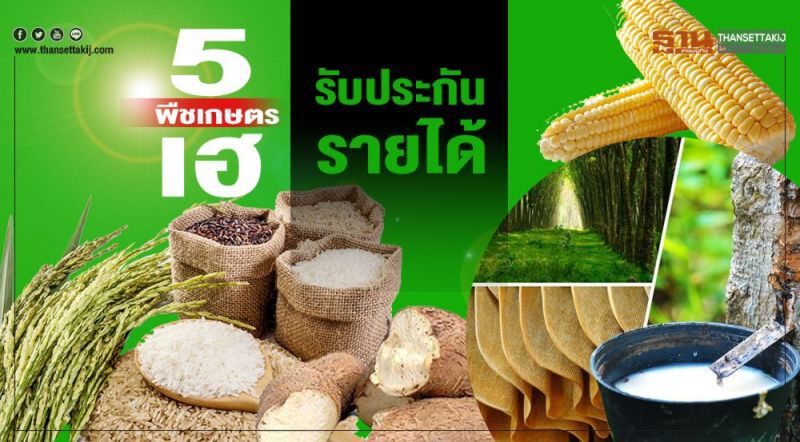 มาตามสัญญา! สถานีต่อไป 'ยางพารา'