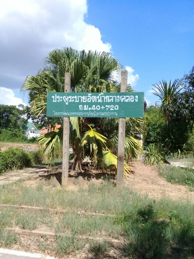 ชาวนาขอบคุณกรมชลประทานปล่อยน้ำช่วยชีวิตนาข้าว