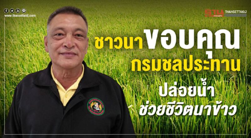ชาวนาขอบคุณกรมชลประทานปล่อยน้ำช่วยชีวิตนาข้าว ชาวนาขอบคุณกรมชลประทานปล่อยน้ำช่วยชีวิตนาข้าว