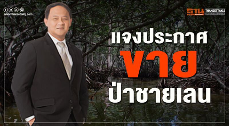 แจงประกาศขายป่าชายเลน แจงประกาศขายป่าชายเลน