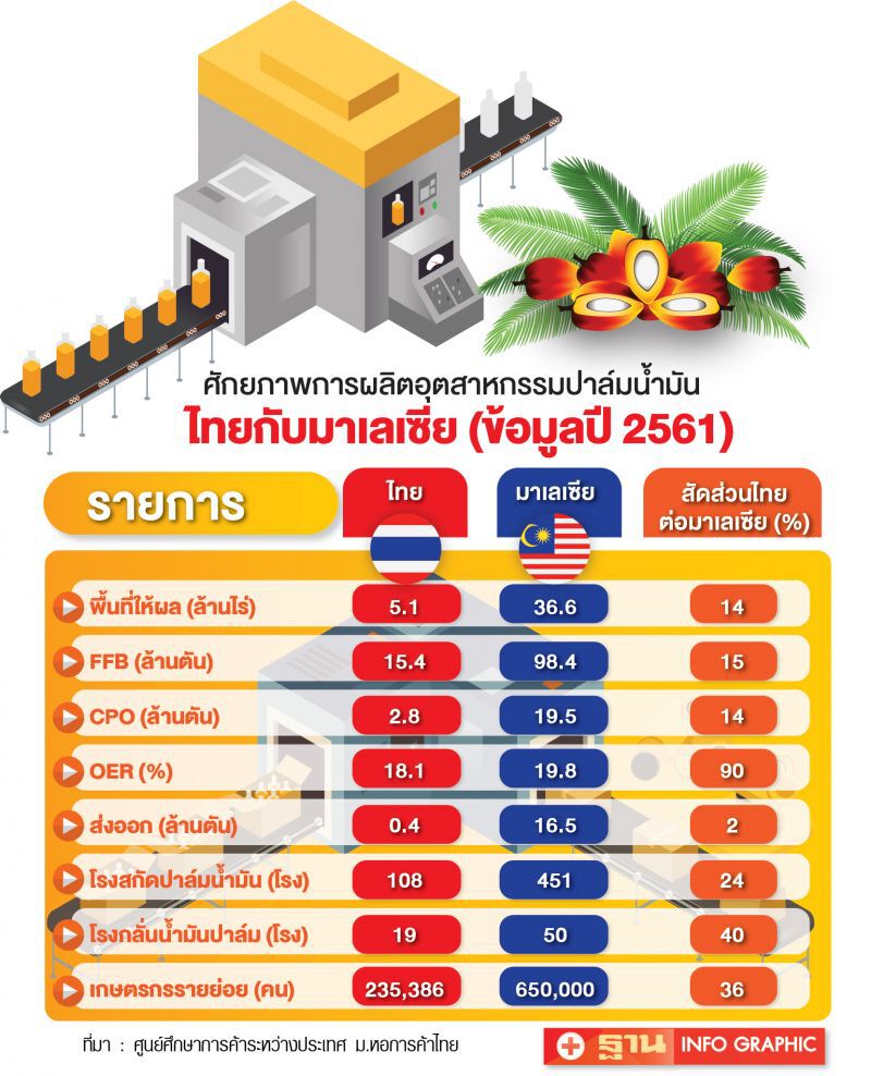 100 ปีปาล์มน้ำมันมาเลย์ กรณีศึกษาประเทศไทย