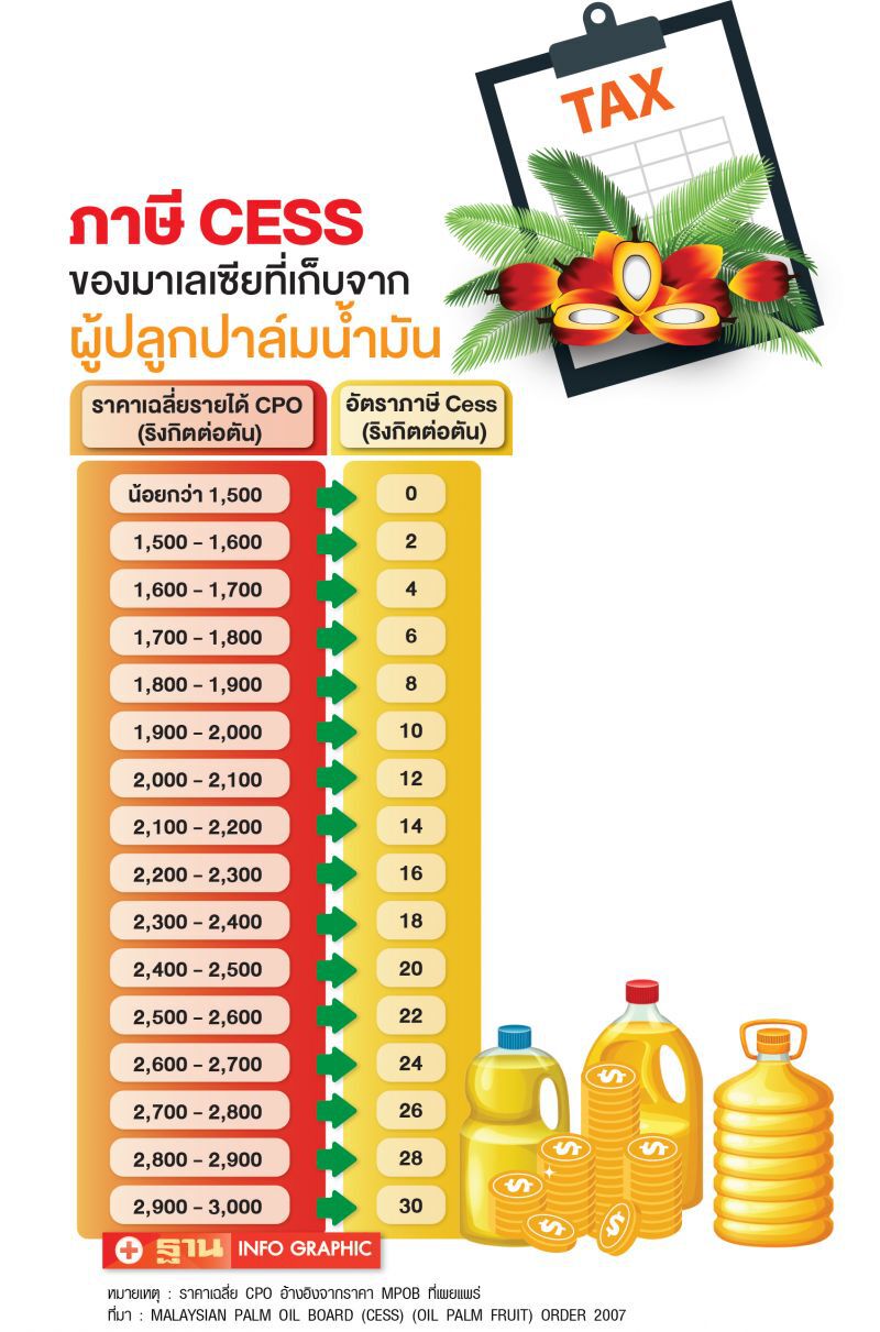 100 ปีปาล์มน้ำมันมาเลย์ กรณีศึกษาประเทศไทย