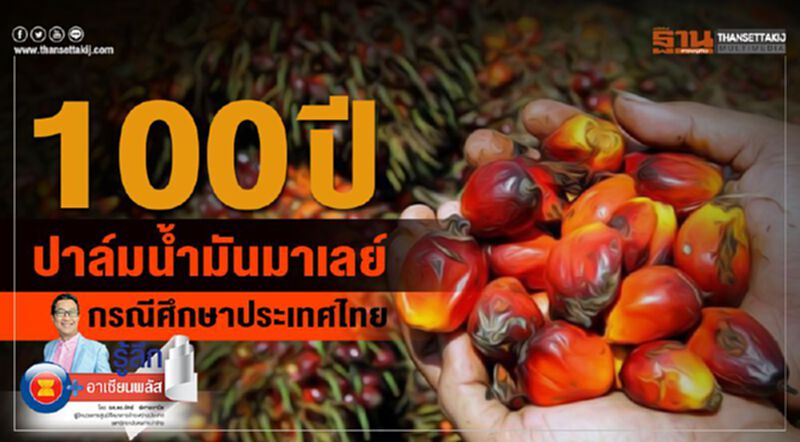 100 ปีปาล์มน้ำมันมาเลย์ กรณีศึกษาประเทศไทย 100 ปีปาล์มน้ำมันมาเลย์ กรณีศึกษาประเทศไทย