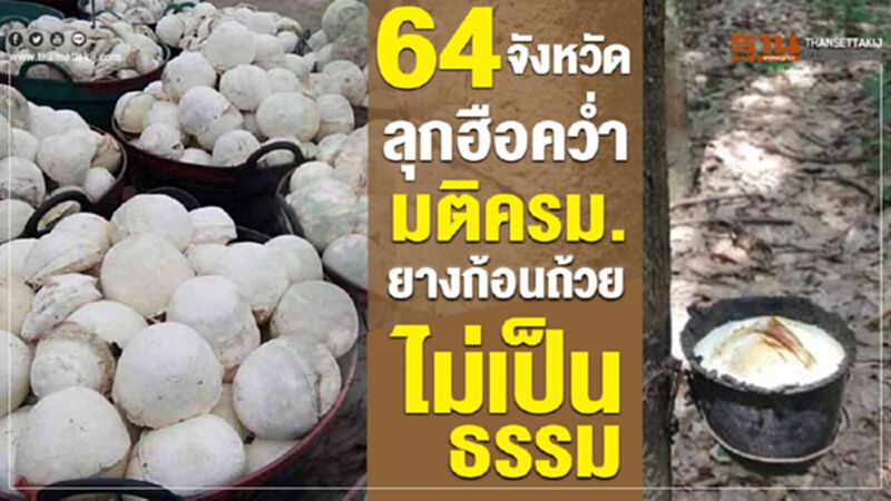 64 จังหวัดลุกฮือคว่ำมติ ครม. ยางก้อนถ้วยไม่เป็นธรรม 64 จังหวัดลุกฮือคว่ำมติ ครม. ยางก้อนถ้วยไม่เป็นธรรม
