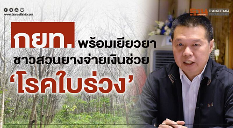 กยท.พร้อมเยียวยาชาวสวนยางจ่ายเงินช่วย ‘โรคใบร่วง’ กยท.พร้อมเยียวยาชาวสวนยางจ่ายเงินช่วย ‘โรคใบร่วง’