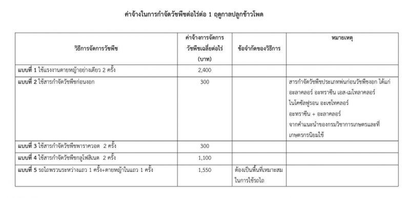 เร่งหามาตรการช่วยเหลือเกษตรกรหลัง 3 สารถูกแบน