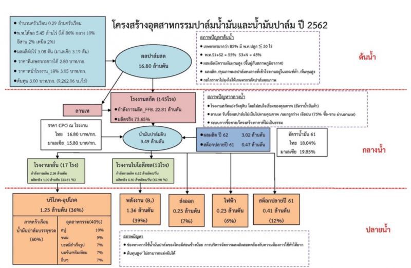 ปาล์มเมินประกันรายได้หวังราคาพุ่ง 5 บาท/กก.