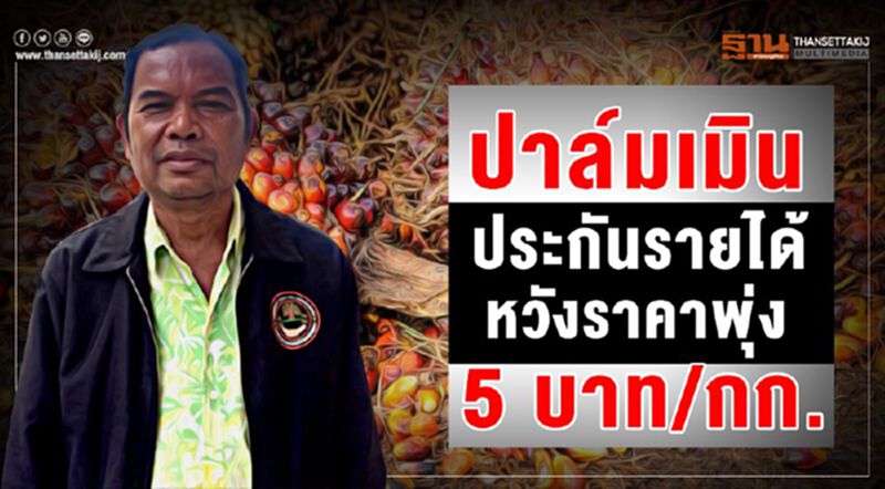 ปาล์มเมินประกันรายได้หวังราคาพุ่ง 5 บาท/กก. ปาล์มเมินประกันรายได้หวังราคาพุ่ง 5 บาท/กก.