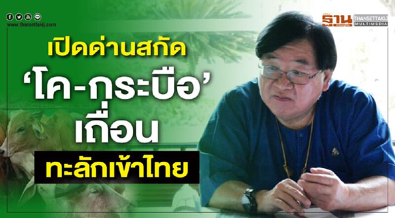 เปิดด่านสกัด ‘โค-กระบือ’ เถื่อนทะลักเข้าไทย เปิดด่านสกัด ‘โค-กระบือ’ เถื่อนทะลักเข้าไทย