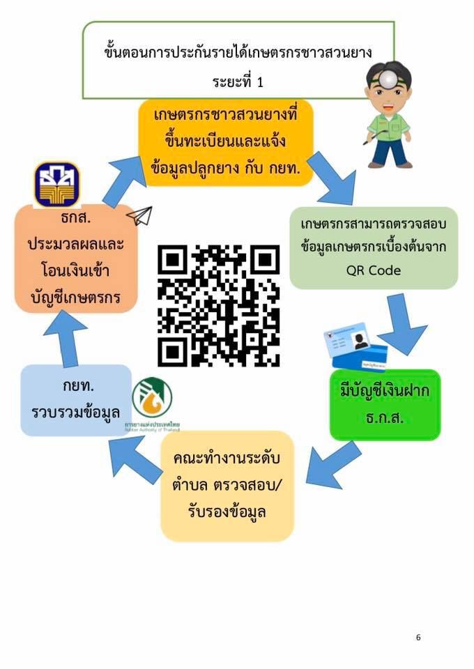 จับตาเคาะประกันรายได้ยางพารา 25 ต.ค.