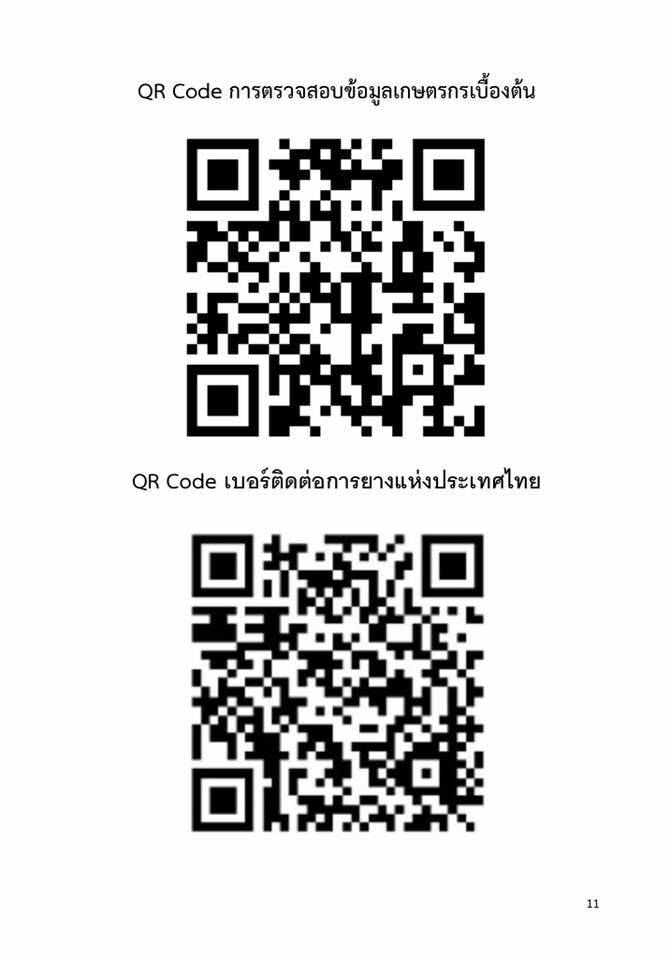 จับตาเคาะประกันรายได้ยางพารา 25 ต.ค.