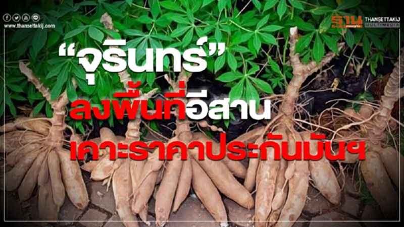 “จุรินทร์”ลงพื้นที่อีสาน เคาะราคาประกันมันฯ “จุรินทร์”ลงพื้นที่อีสาน เคาะราคาประกันมันฯ