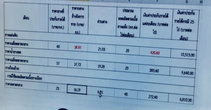 น้ำยางก้อนถ้วยเฮ! ชดเชยประกันรายได้เพิ่ม