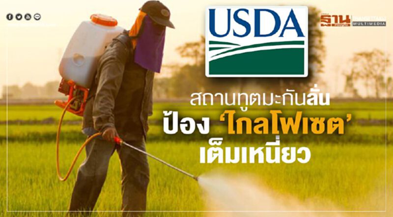 สถานทูตมะกันลั่น ป้อง‘ไกลโฟเซต’เต็มเหนี่ยว สถานทูตมะกันลั่น ป้อง‘ไกลโฟเซต’เต็มเหนี่ยว