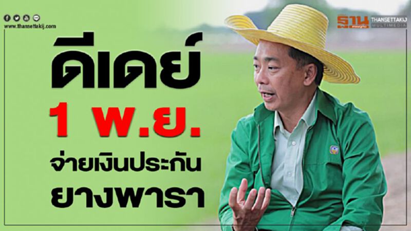 ดีเดย์ 1 พ.ย. จ่ายเงินประกันยางพารา ดีเดย์ 1 พ.ย. จ่ายเงินประกันยางพารา