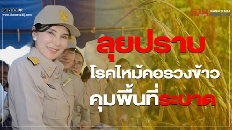 ลุยปราบโรคไหม้คอรวงข้าวคุมพื้นที่ระบาด ลุยปราบโรคไหม้คอรวงข้าวคุมพื้นที่ระบาด