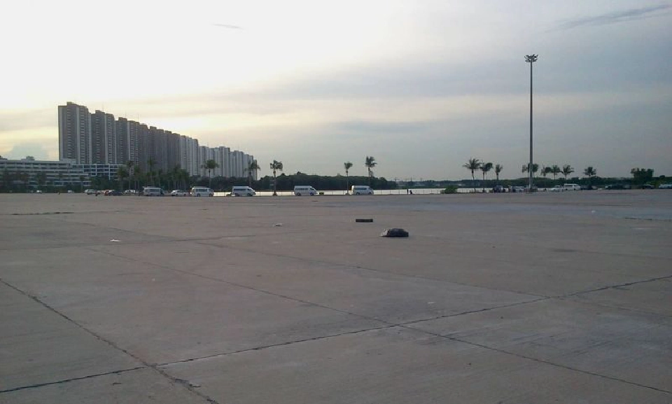 ปศุสัตว์เคลื่อนย้ายสุนัขจรจัดออกจากอิมแพค