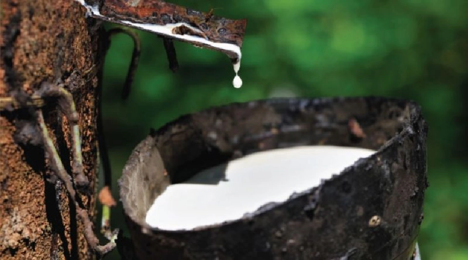 ซีอีโอใหม่ IRCo   ดันทุกทาง  ฝ่าวิกฤติ‘ยาง3ชาติ’