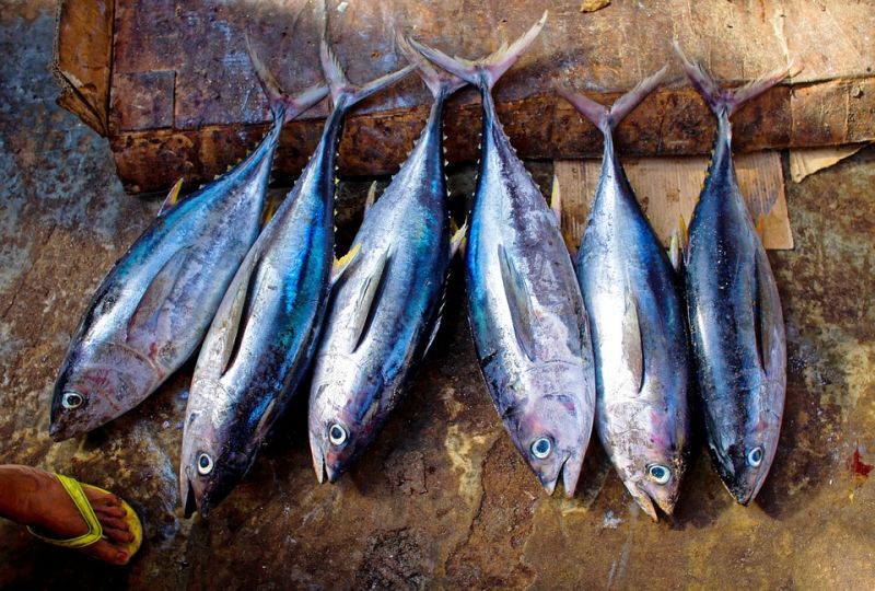 สศก. เผย ‘ทูน่า-กุ้ง’ รอดสหรัฐฯ ตัด GSP