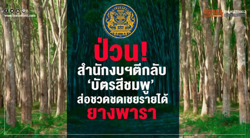 ป่วน! สำนักงบฯตีกลับ ‘บัตรสีชมพู’ ส่อชวดชดเชยรายได้ยางพารา ป่วน! สำนักงบฯตีกลับ ‘บัตรสีชมพู’ ส่อชวดชดเชยรายได้ยางพารา