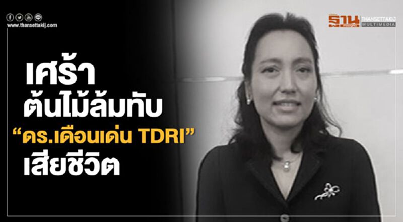 เศร้า ต้นไม้ล้มทับ "ดร.เดือนเด่น TDRI" เสียชีวิต เศร้า ต้นไม้ล้มทับ "ดร.เดือนเด่น TDRI" เสียชีวิต