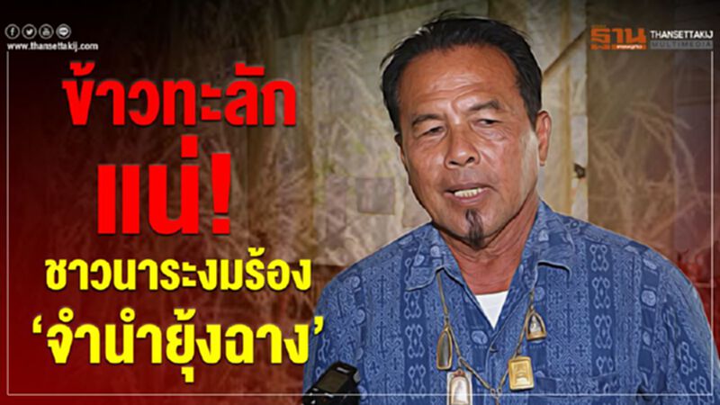 ข้าวทะลักแน่! ชาวนาระงมร้อง ‘จำนำยุ้งฉาง’ ข้าวทะลักแน่! ชาวนาระงมร้อง ‘จำนำยุ้งฉาง’