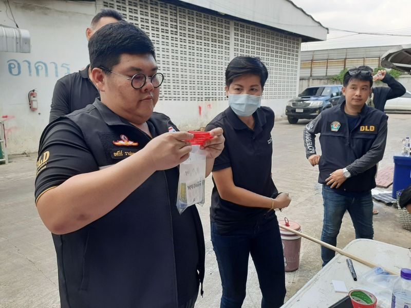 ปศุสัตว์สั่งอายัดสุกรใช้สารเร่งเนื้อแดงลักลอบเข้ามาเชือด