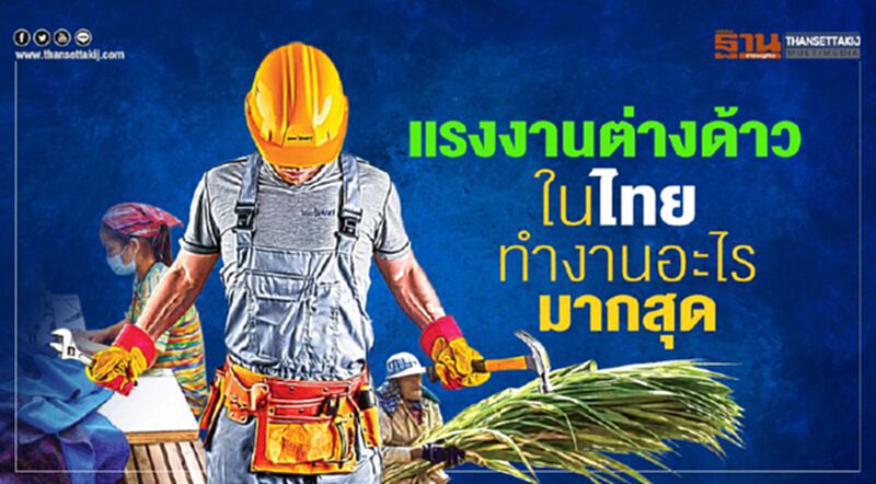 มาดูกัน แรงงานต่างด้าวในไทยทำงานอะไรมากสุด มาดูกัน แรงงานต่างด้าวในไทยทำงานอะไรมากสุด