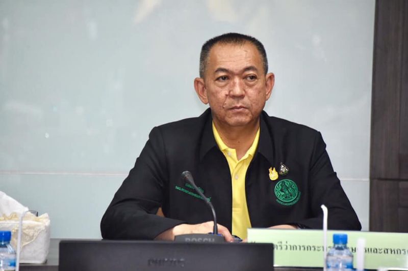 ผวา! โรคไหม้คอรวงข้าวระบาดหนักหวั่นข้าวหอมมะลิเสียหาย