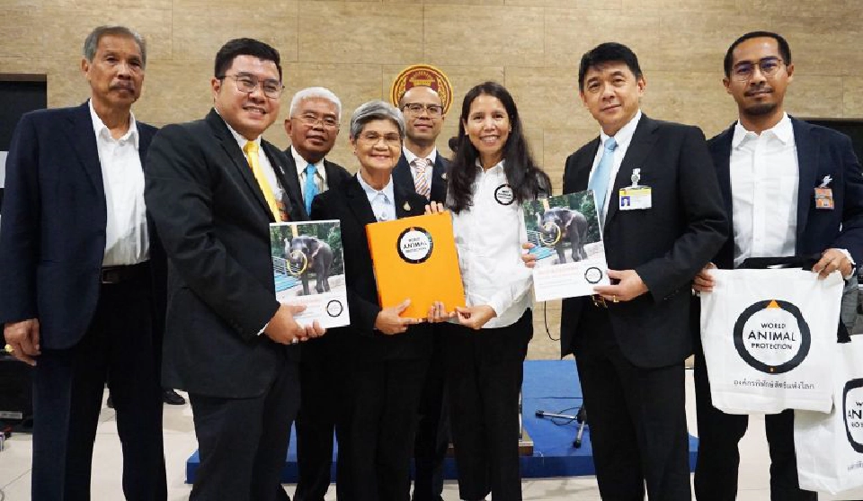 สัตว์ป่าไม่ใช่นักแสดง