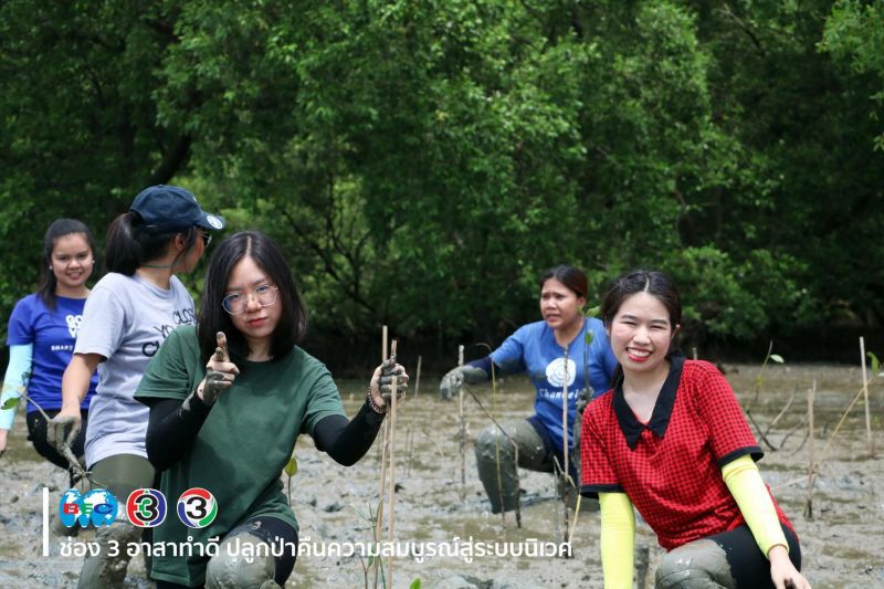 ช่อง 3 องค์กร CSR เป็นเลิศ