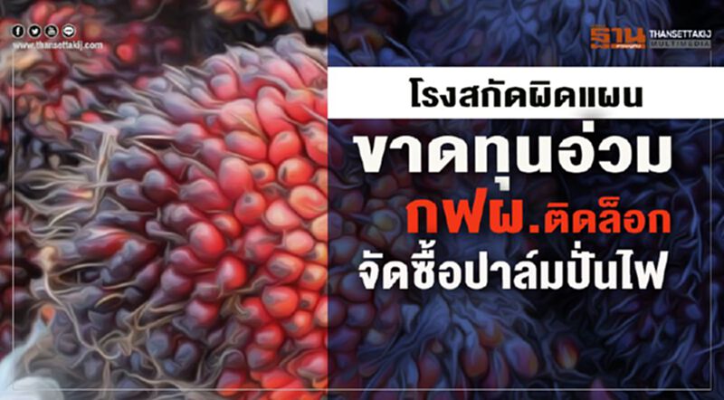 โรงสกัดผิดแผนขาดทุนอ่วม กฟผ. ติดล็อกจัดซื้อปาล์มปั่นไฟ โรงสกัดผิดแผนขาดทุนอ่วม กฟผ. ติดล็อกจัดซื้อปาล์มปั่นไฟ