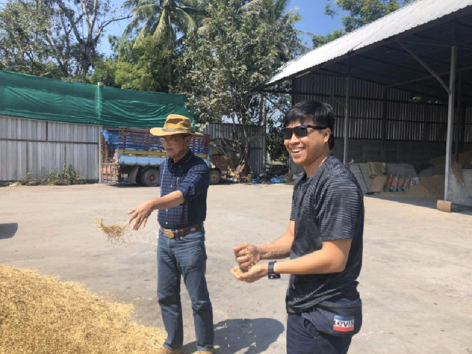 อีสานคึกพ่อค้าแข่งเดือดแย่งซื้อข้าวหอมมะลิ