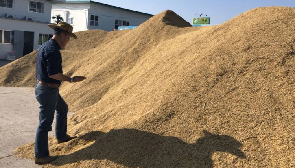 อีสานคึกพ่อค้าแข่งเดือดแย่งซื้อข้าวหอมมะลิ