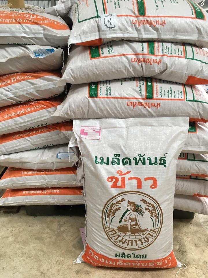 'ประภัตร' เดินสายลุยอีสานแจกเมล็ดพันธุ์ข้าวหลังน้ำลด